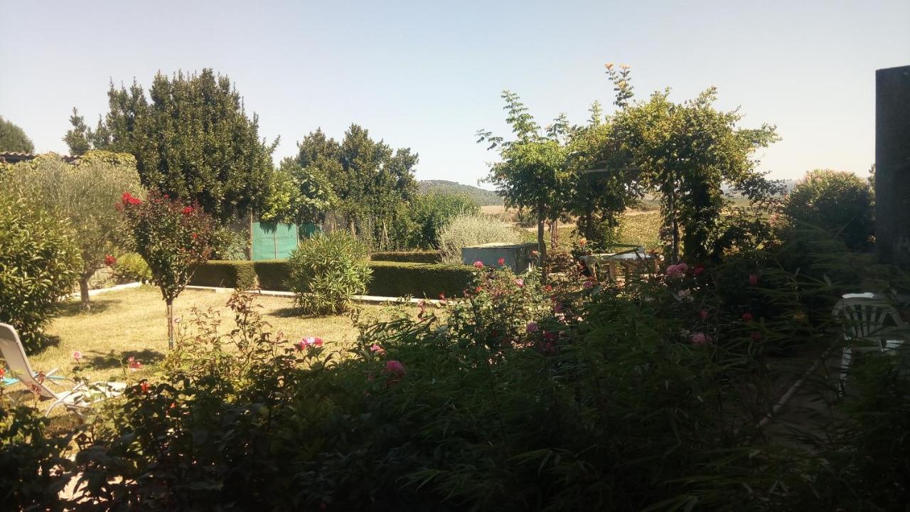 La Vigneronne Bed & Breakfast Villelongue-d'Aude ภายนอก รูปภาพ